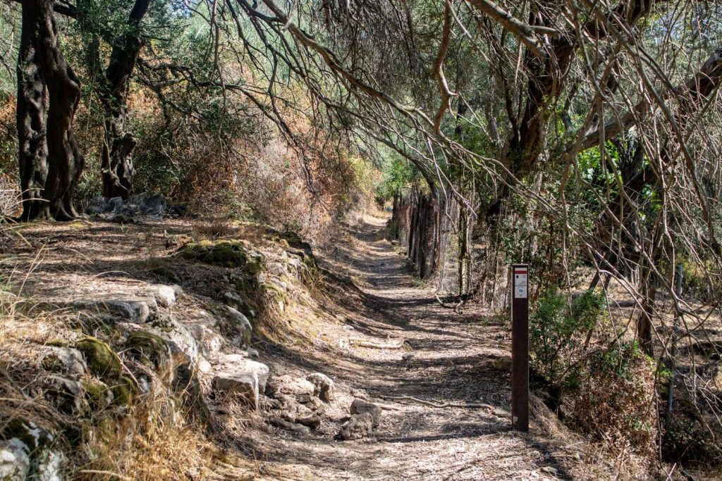 Path to the cave Path to the cave