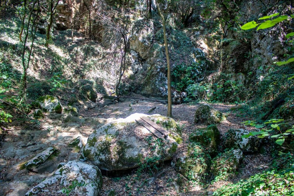Dried up stream during the dry summer months Dried up stream during the dry summer months