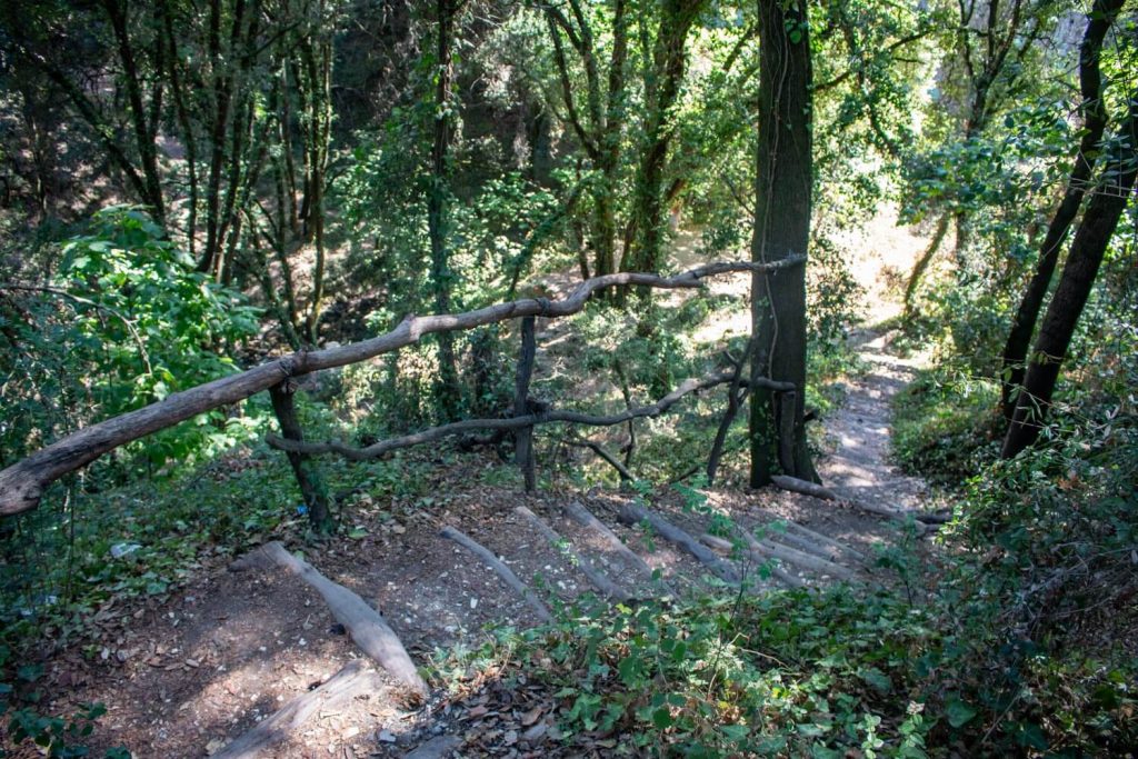Path to the waterfall