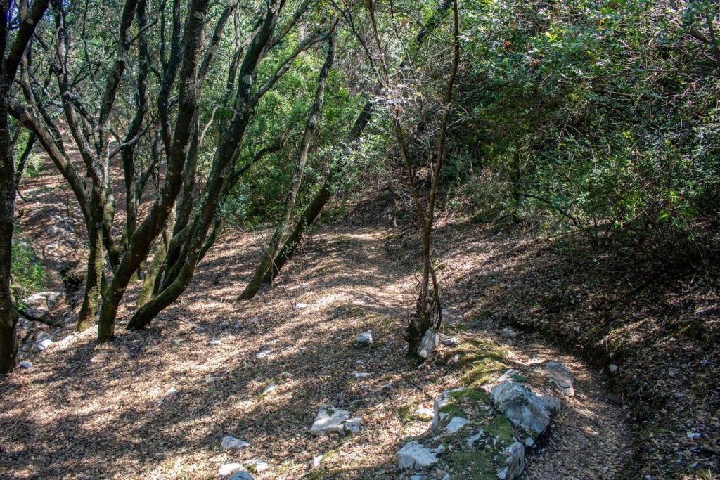 Trail to Strogylo Beach Trail to Strogylo Beach