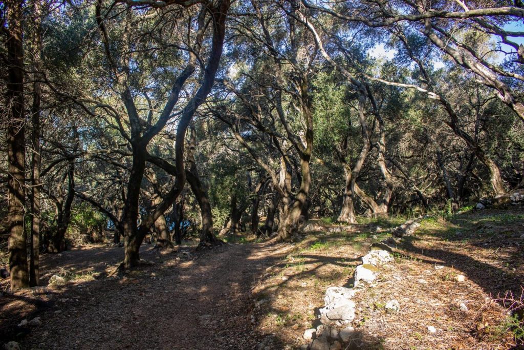 Path to Limni Beach