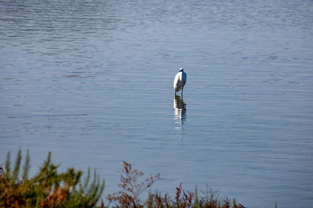 Halikiopoulou Lagoon Halikiopoulou Lagoon