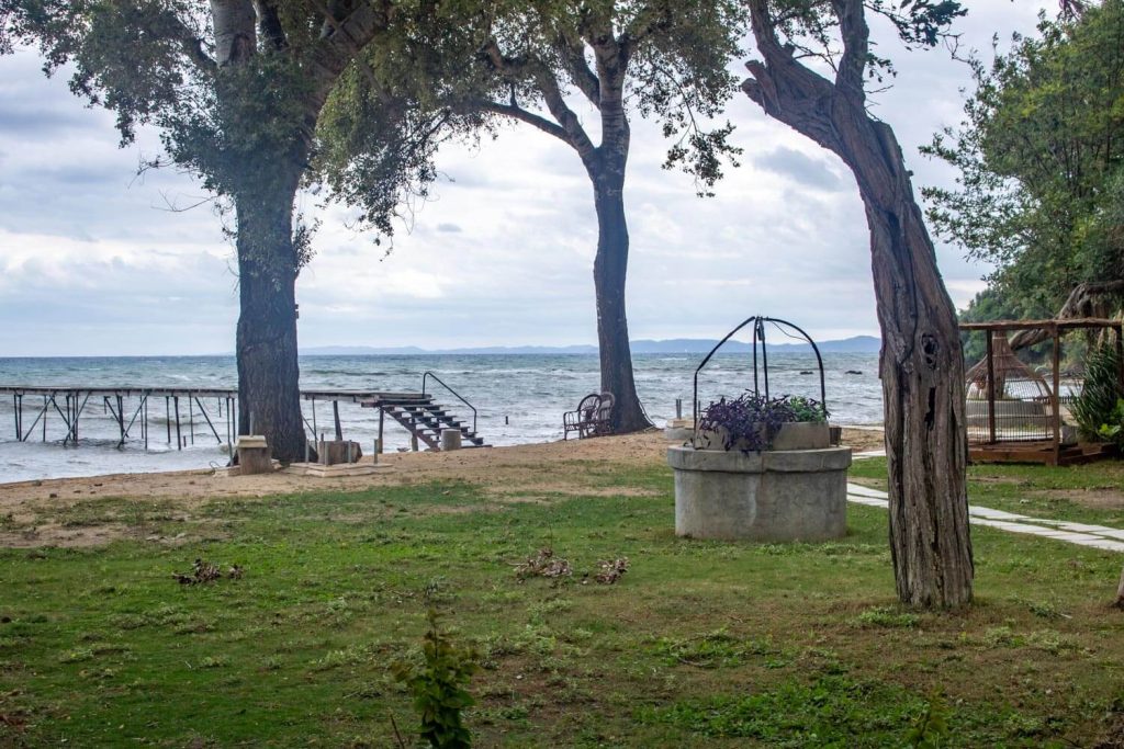 Mon Repos Beach Mon Repos Beach