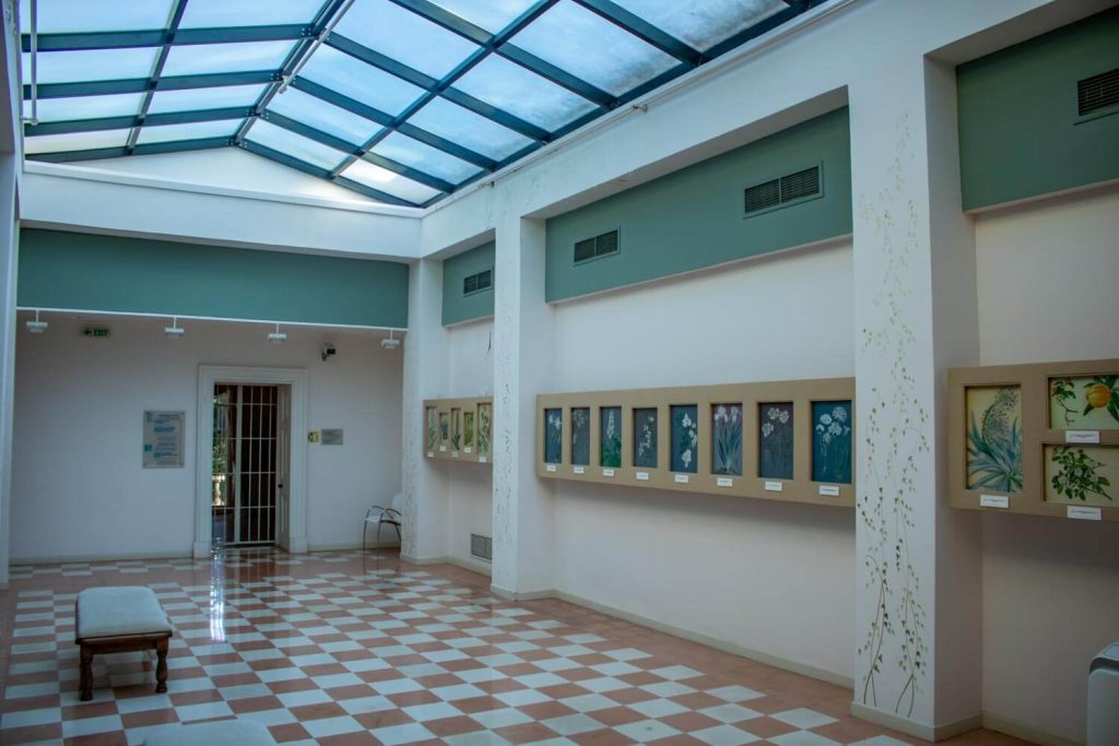 Museum Of Paleopolis - Mon Repos
