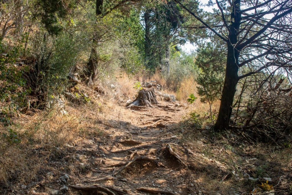 Hiking path to Psathopoulou Beach
