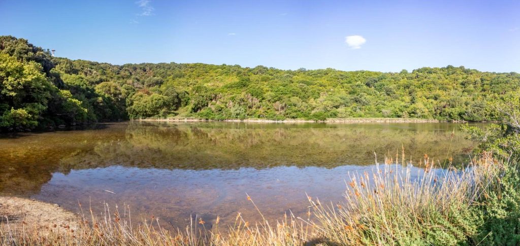 Akoli Pond