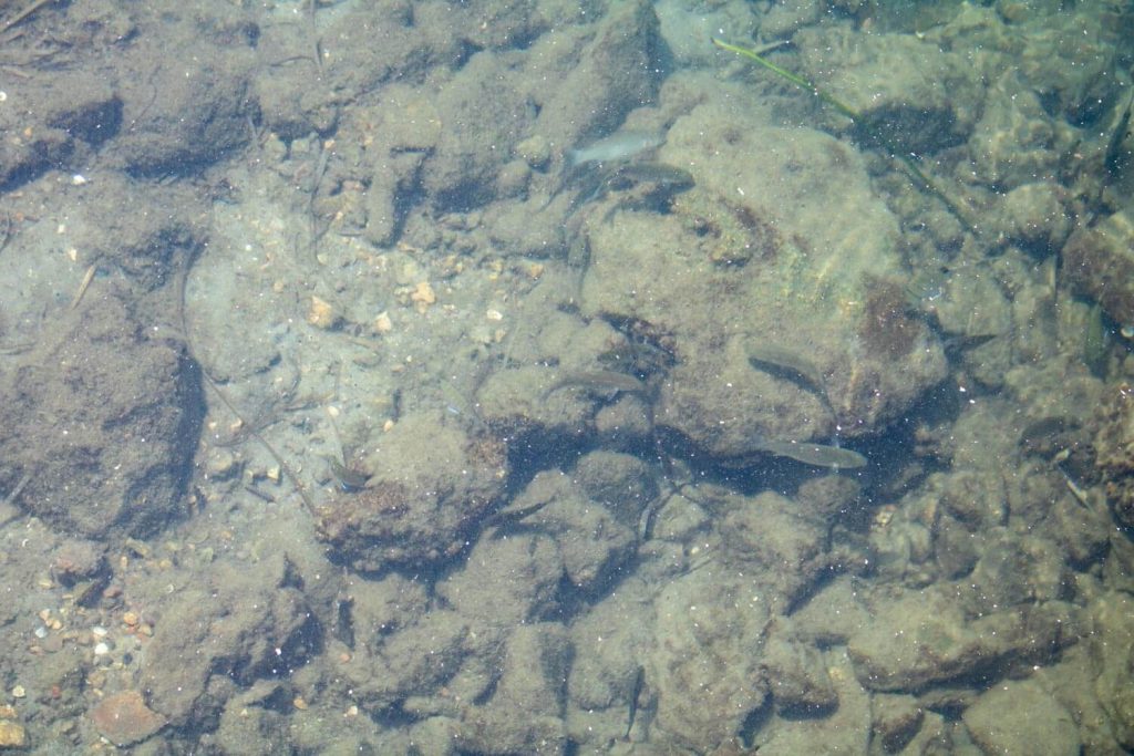 Antinioti Lagoon
