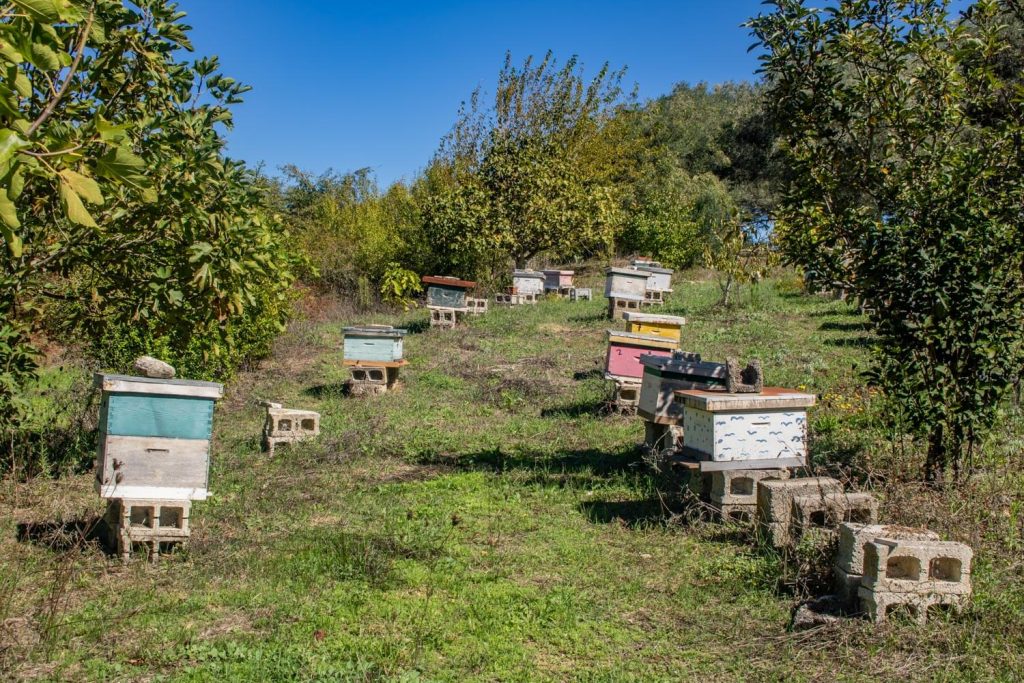 Bee Park Skiadena