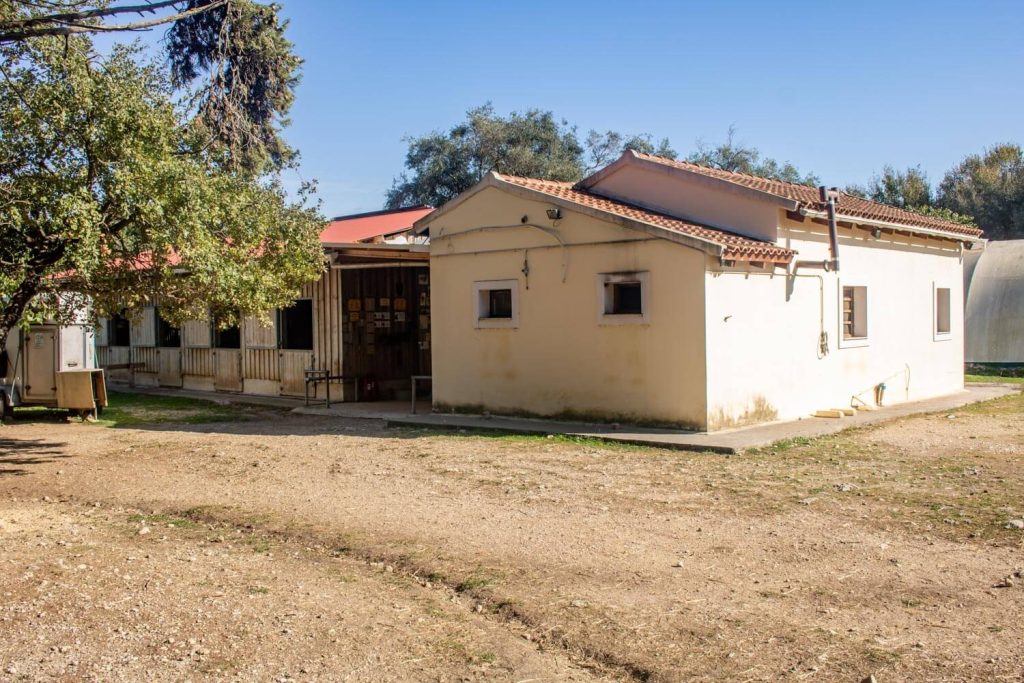 Corfu Donkey Rescue Corfu Donkey Rescue