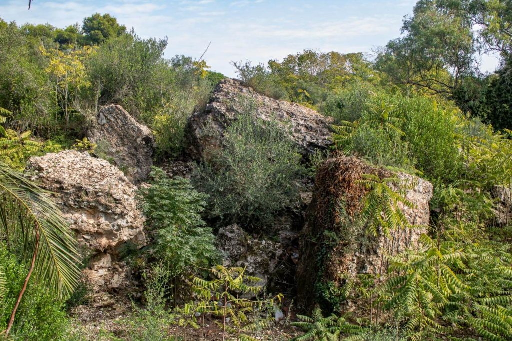 Fort Wellington Fort Wellington