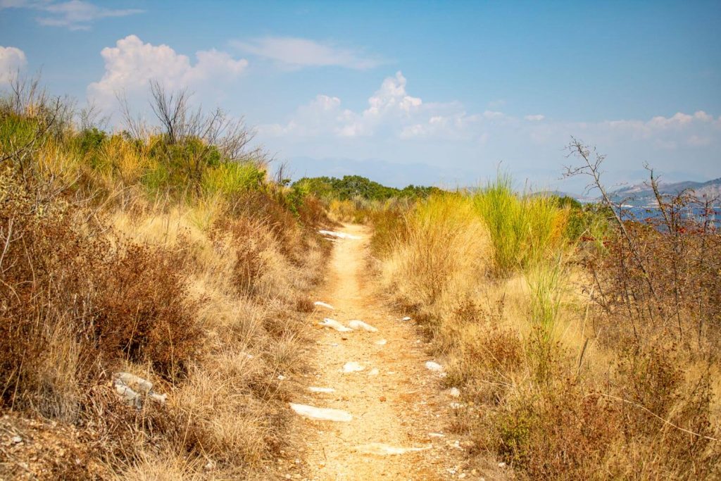 Hiking path