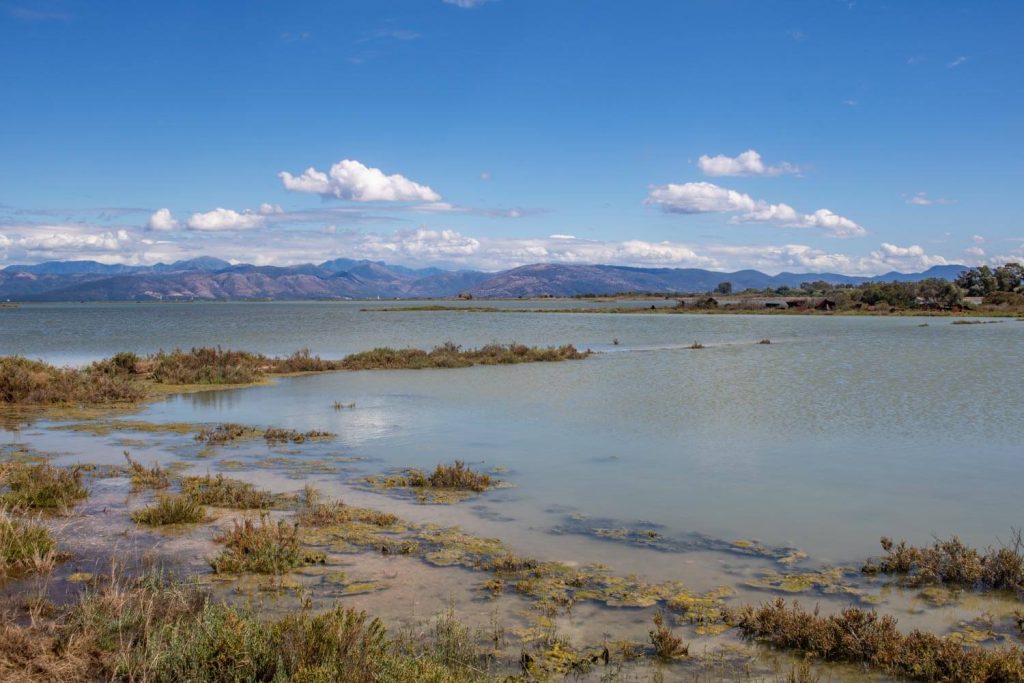 lefkimmi salt flats corfu 13 1024x683