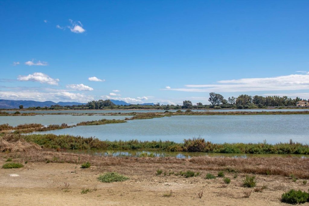 lefkimmi salt flats corfu 7 1024x683