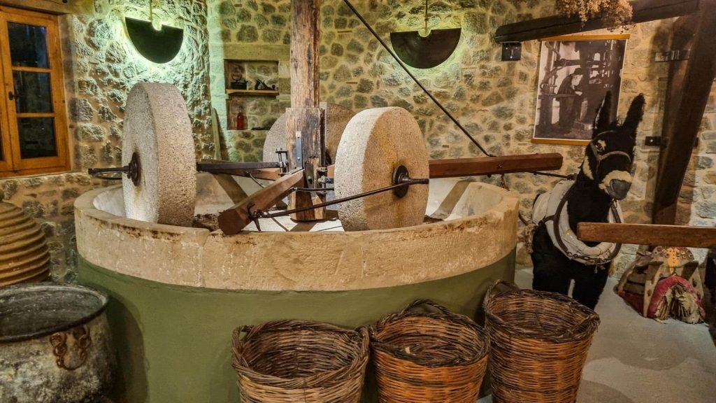 Mavroudis Olive Oil Museum Mavroudis Olive Oil Museum