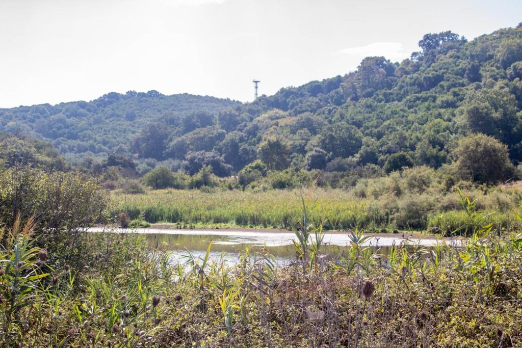 Savoura Pond