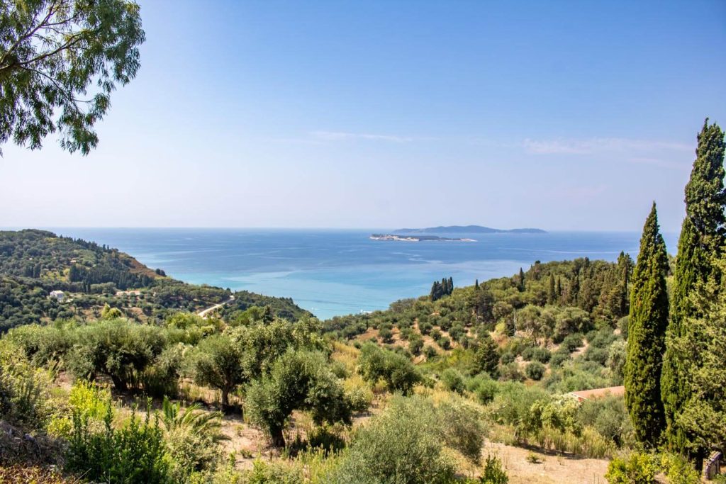 avliotes corfu 2 1024x683